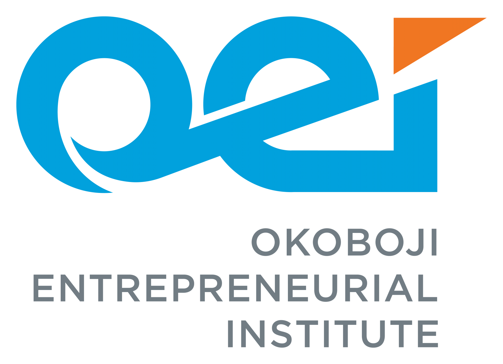 Okoboji Entrepreneurial Institute Photo - Click Here to See